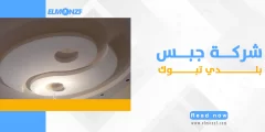 شركة جبس بلدي تبوك