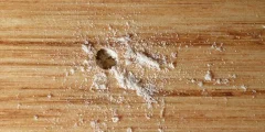 كيفية علاج سوس الخشب