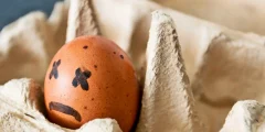 كيفية معرفة البيض الفاسد