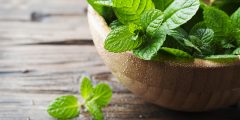 كيفية حفظ النعناع الاخضر