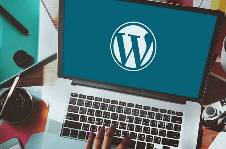 الفرق بين منصة ويلت ووردبريس